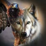 Carel Smith - @carel542 - Instagram