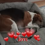 Carey Allison - Facebook