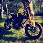 Brady Carey - @careybrady - Instagram