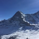 Campbell Carey - @campbellcareycc - Instagram
