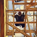 Carey Gray - @carey.gray.902 - Instagram