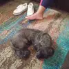 careyhaley479 - @careyhaley479 - TikTok