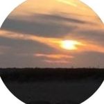 capekathleen - @kathleen_carey_harmon - Instagram