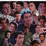 Carey Harris - @carey_har66ris - Instagram