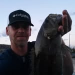Carey Harris - @harris.247 - Instagram