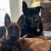 Carebear73 - @carey.lowery307 - TikTok