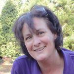 Carey Mitchell - @yellowdogrealestate - Instagram