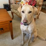 Carey Mitchell - @ca_rey626 - Instagram