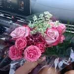 Stephanie L Carey-Ray - @st.ephanie5465 - Instagram