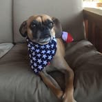 Carey Ryan - Facebook