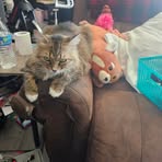 Carey Stephens - Facebook