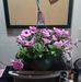 Carey Stephens - Facebook