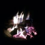 Cari Bennett - @carijbennett1958 - Instagram
