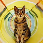Cari Bennett - @cari_dirty_dog_rb - Instagram