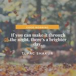 Cari Combs - @niceusa23 - Instagram