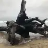 Cari - @cari.johnson - TikTok