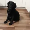 carinakeller578 - @carinakeller578 - TikTok