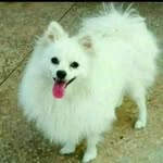 Geofrey Gregory - @carila.mbarila - Instagram