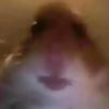Locally_hated.lol - @masoncariuty0 - TikTok