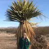 carimitchell358 - @carimitchell358 - TikTok