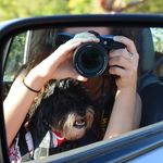 Cari Nelson Photography - @carinelsonphotography - Instagram