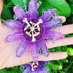 Cari Richards - @joyalways.mor2 - Instagram