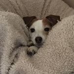 Cari Robbins Allard - @jmacsa - Instagram