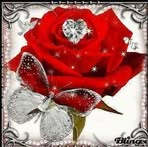 Cari Rodriguez - Facebook