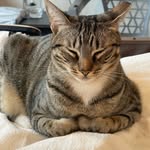 Cari Rogers - @carir492020 - Instagram