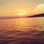 Cari Rogers - @marleysmom222 - Instagram