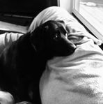 Cari Rogers - Facebook