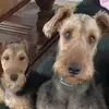 Carin Rogers - @carinrogers - TikTok