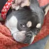 Carissa Lynn - @carilynnroth - TikTok