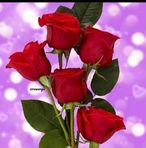 Rosh Garai - Facebook