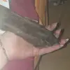 Carina Zschauer - @carinazschauer7 - TikTok