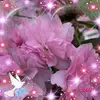 Carolina Serrano766 - @caritoserrano21 - TikTok