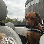 Cari Shearer Xx - @cari.shearer - Instagram