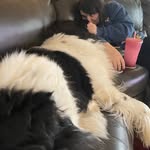 Cari Simpson - @cariv.s - Instagram
