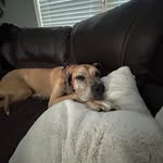 Cari Taplin - @cari.taplin - Instagram