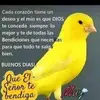 carinaterrones - @carinaterrones - TikTok