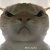 chúa wibu - @cari.tran - TikTok