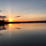Cari Ulrich - @cariulrich - Instagram