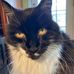 Cari Walker - Facebook