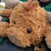 Cali Warren - @user123749507 - TikTok