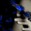 Carrie Warren - @carriewarren08 - TikTok