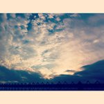 Cari Washington - @buffbubblepeatear - Instagram