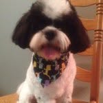 @cariwaters - Instagram
