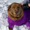 Cari Webb - @cari.webb - TikTok