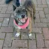 cari_welsh - @cari_welsh - TikTok