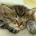 Cari Winter - Facebook